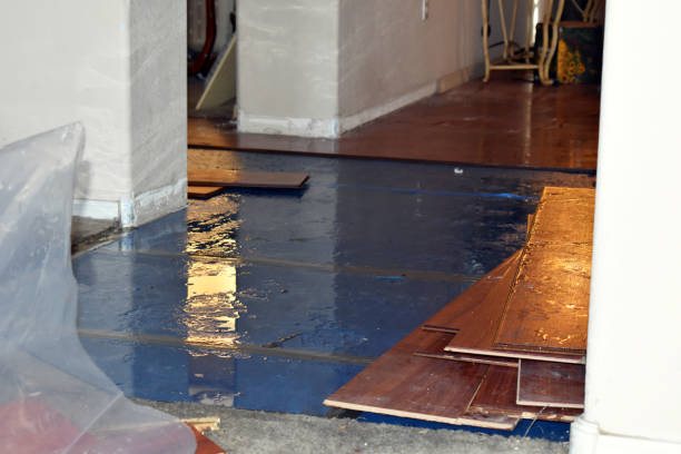 Professional Flood Damage Restoration technician working in Gauley Bridge, WV